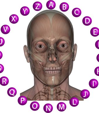 CARA-anato-palabra-web