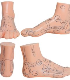 MD7220 REFLEXOLOGIA PIES IZQUIERDO Y DERECHO 20 (02)